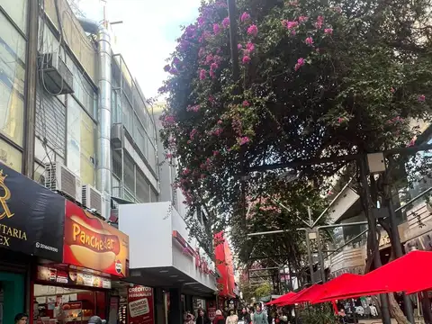 SE VENDE LOCAL COMERCIAL EN BARRIO CENTRO