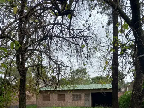 Sueño a terminar, casa 2 dorm con árboles en Colonia Benitez!