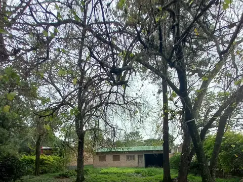 Lapacho y Calandria