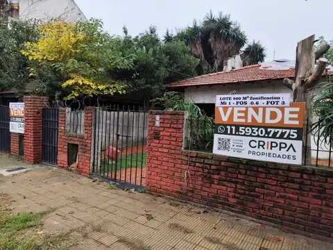 Maestro D'Elía 1900