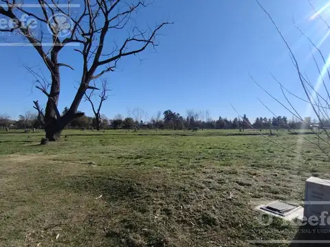 Excelente Lote fonde Verde Orientacion Norte en San Juan Chico - Posesión inmediata