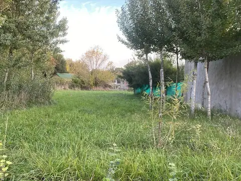 De La Piedad