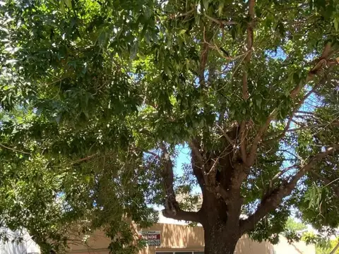 Casa en Venta en Ludueña, USD 46.000