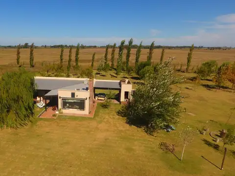 campo en venta de 40 Ha San Antonio de Areco