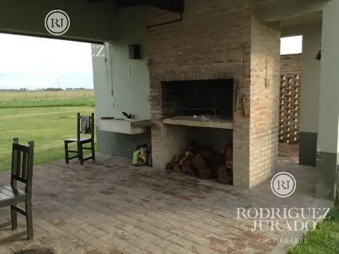 campo de 40 Ha San Antonio de Areco