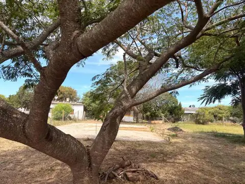 El Salvador entre las calles Diagonal Intendente Volpi y Santin Carlos Rossi 100