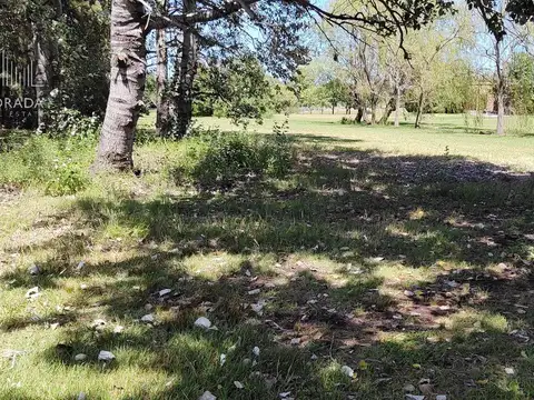 Terreno en Venta de 1100,0 m2