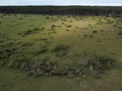 54 has campo mixto en Dpto. Colón ER