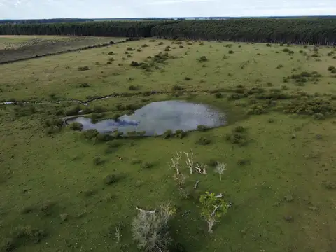 Campo en Venta de 54  ha