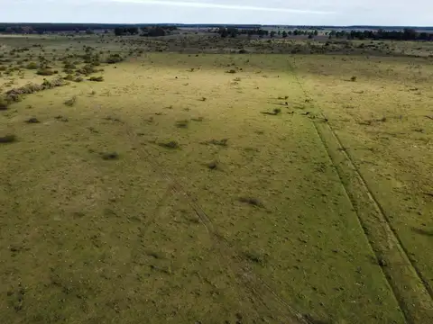 Campo en Venta Mixto