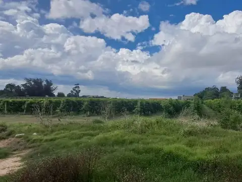 Terreno en Venta de 79285,0 m2