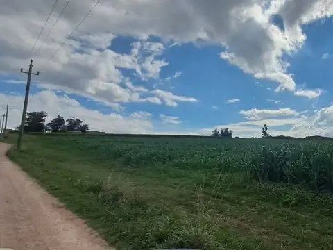 Venta terreno logístico industria Bajo la Petisa