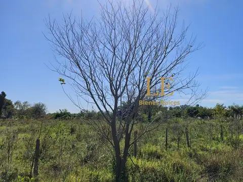 Terreno en Venta - Ingeniero Maschwitz