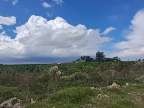 Camino Bajo de la Petisa 4900