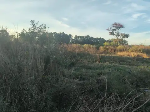 Terreno en Venta de 4200,0 m2