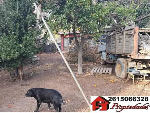 Terreno en Venta 43  mts Fondo