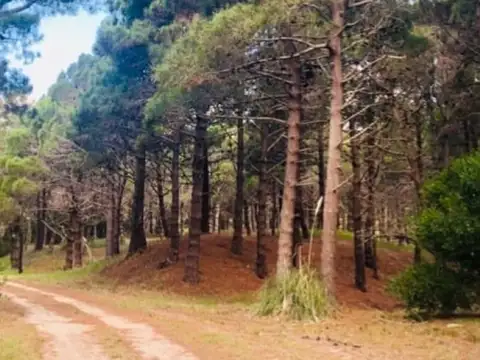 Terreno en Venta de 1200,0 m2