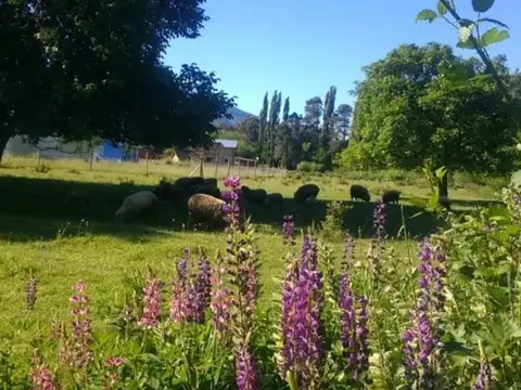 Terreno en Venta en Lago Puelo, USD 52.500