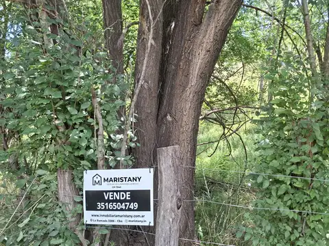 Terreno en Venta 100  mts Fondo