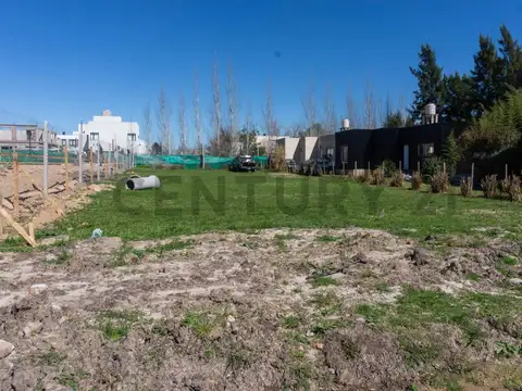 31 entre 477 y 480 , Piso 0