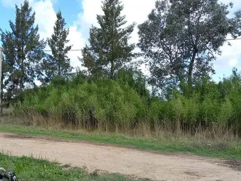 EXCELENTE TERRENO VENTA CORONEL BRANSEN