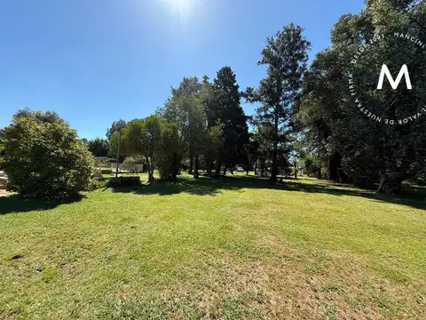 Terreno en Venta 50  mts Fondo