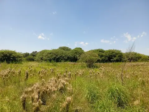 Ñoño del Giorgio (ex calle 14 y montamant) 200