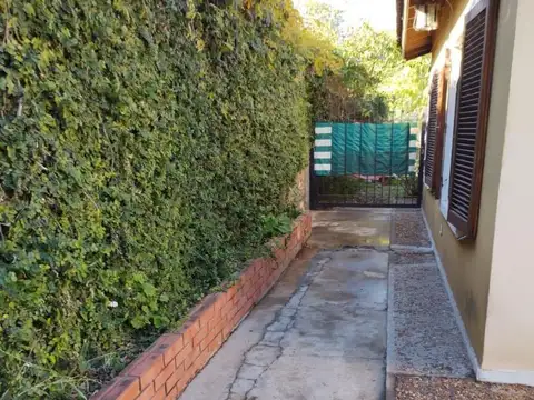 Bogota 100