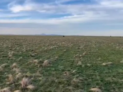 Campo en venta - 2.830.000mts2 - Necochea