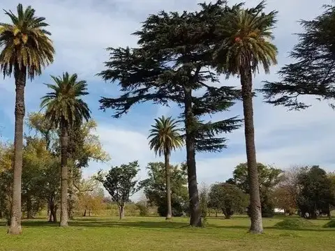 General Alvear 1100