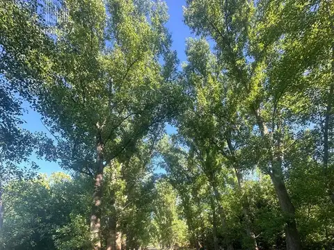 Terreno en Venta en El Malacate, USD 56.000