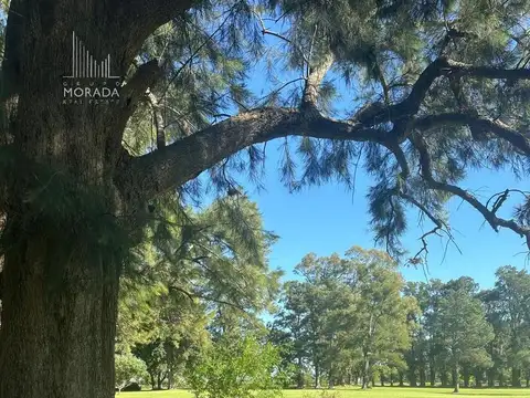 Terreno en Venta de 5011,0 m2
