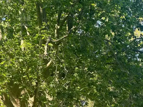 Terreno en Venta de 5011,0 m2