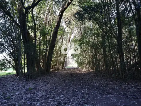 Chacra en Estancia Benquerencia