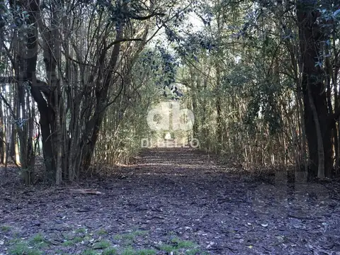 Chacra en Estancia Benquerencia