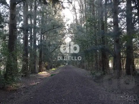 Chacra en Estancia Benquerencia