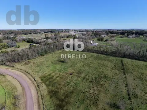 Campo en Venta en Estancia Benquerencia Farm Club, Countries y Barrios Cerrados en San Miguel del Monte