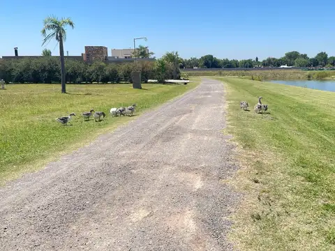 Terreno en Venta en Los Juncos, USD 20.000