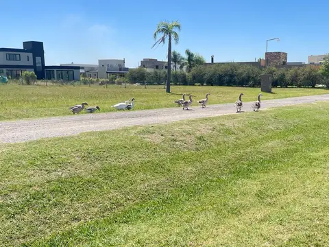 Terreno en Venta de 900,0 m2