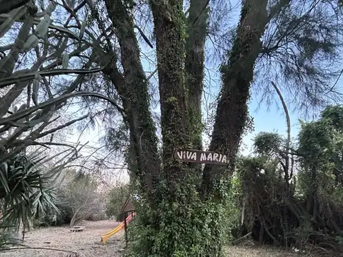 Terreno en Venta 60  mts Fondo
