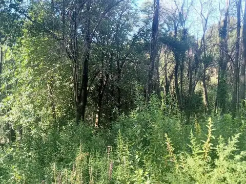 TERRENO EN RIO CEBALLOS