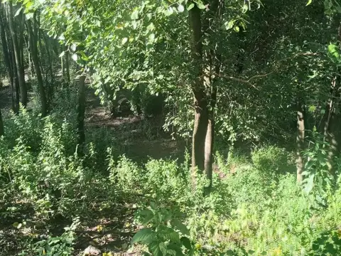 Terreno en Venta de 962,0 m2