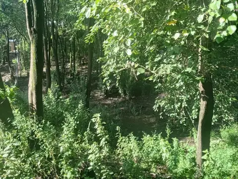 Terreno en Venta en Río Ceballos, USD 12.000