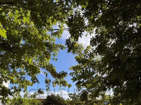 Terreno en Venta de 630,0 m2