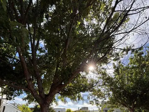 Terreno en Venta en La Plata, USD 89.000