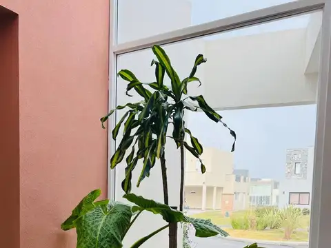 Casa en Venta 10 años