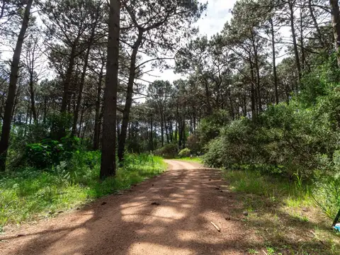 Terreno en Venta en Maldonado, USD 350.000