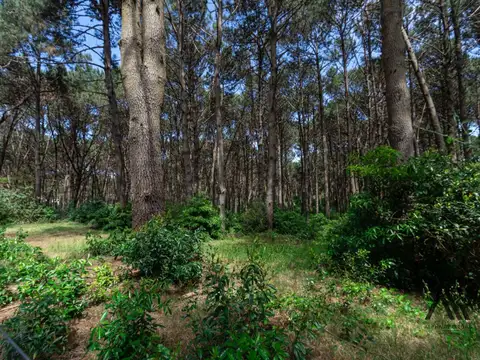 Terreno en venta de 1850m2 ubicado en Laguna Del Sauce