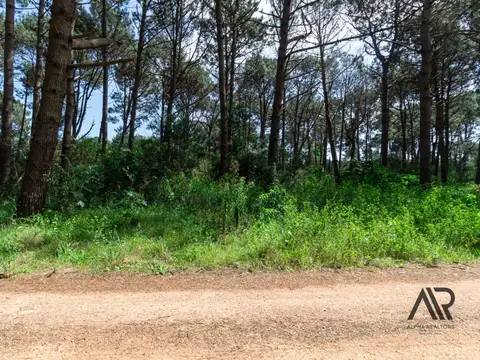 Terreno en Venta 250  mts Fondo