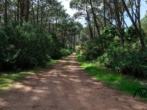 Terreno en Venta de 1850,0 m2